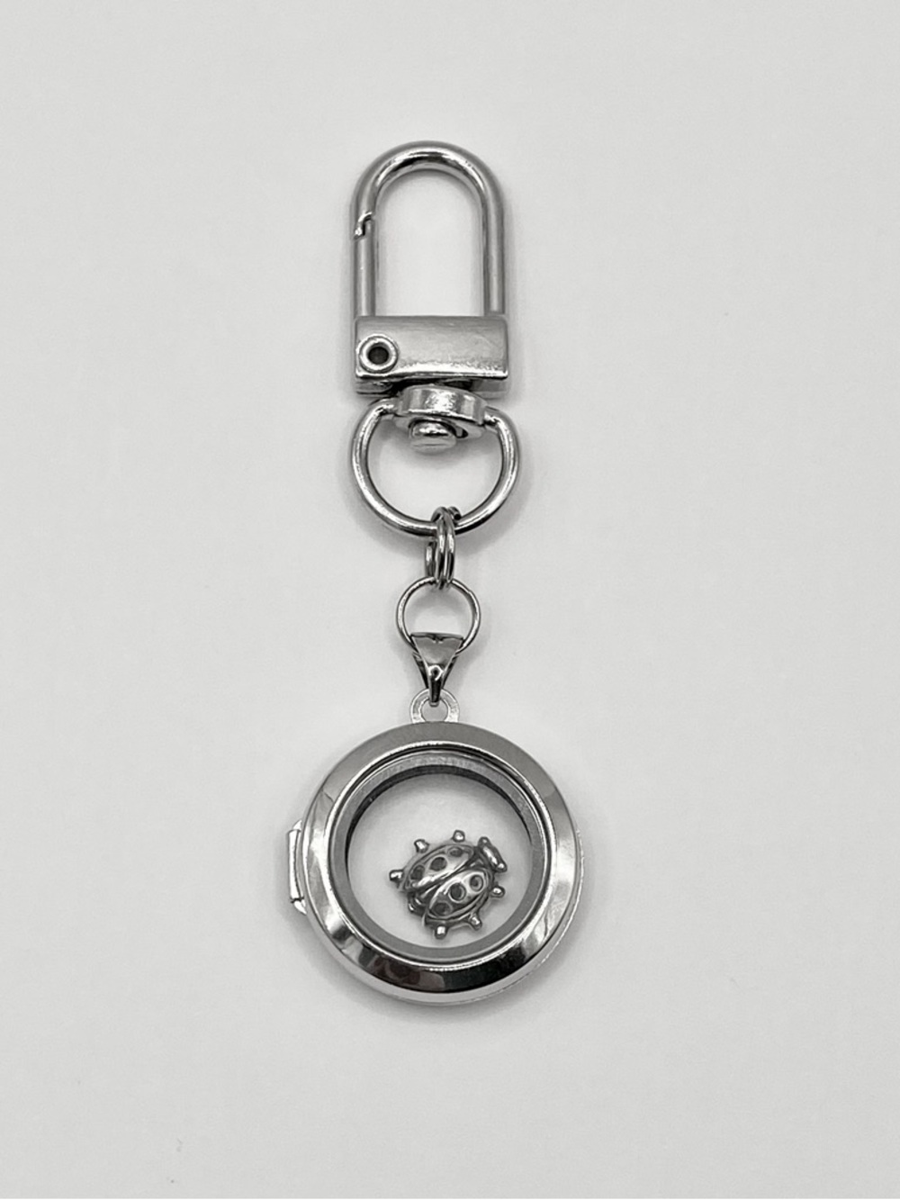 Stainless Steel Glass Floating Locket, Sterling Silver Lady Bug Charm, Bag Charm